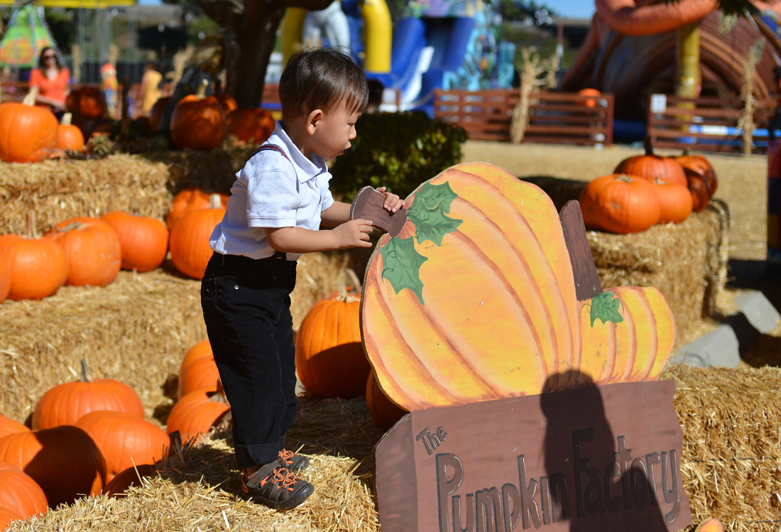 William Quy Bui - Almost 3 years old
Pumpkin Patch
@Westminster Mall
Keywords: Pumpkin;patch;westminster mall;william;fall;thanksgiving