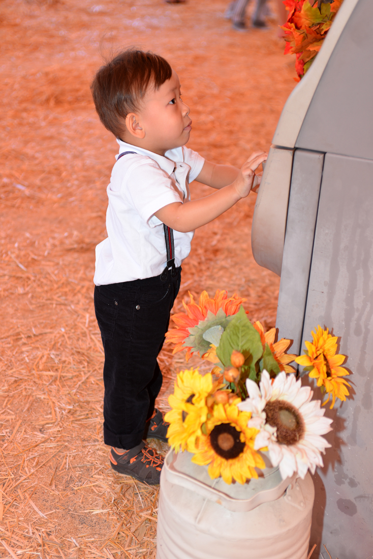 William Quy Bui - Almost 3 years old
Pumpkin Patch
@Westminster Mall
Keywords: Pumpkin;patch;westminster mall;william;fall;thanksgiving