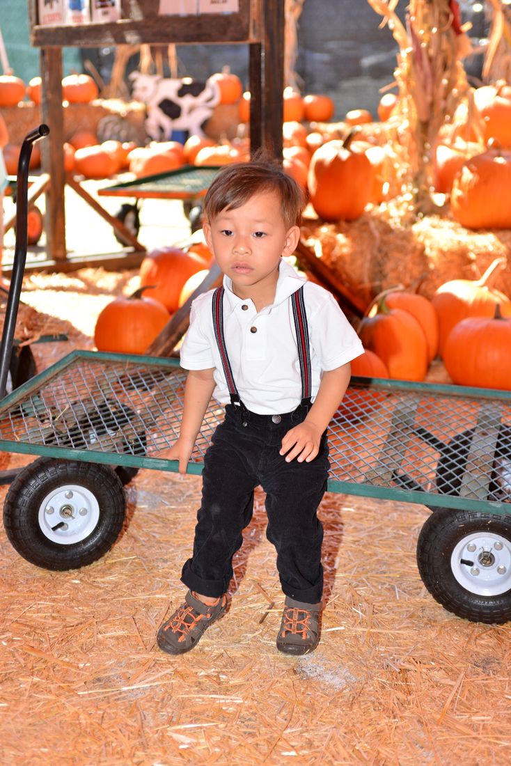 William Quy Bui - Almost 3 years old
Pumpkin Patch
@Westminster Mall
Keywords: Pumpkin;patch;westminster mall;william;fall;thanksgiving