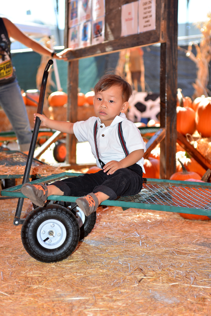 William Quy Bui - Almost 3 years old
Pumpkin Patch
@Westminster Mall
Keywords: Pumpkin;patch;westminster mall;william;fall;thanksgiving