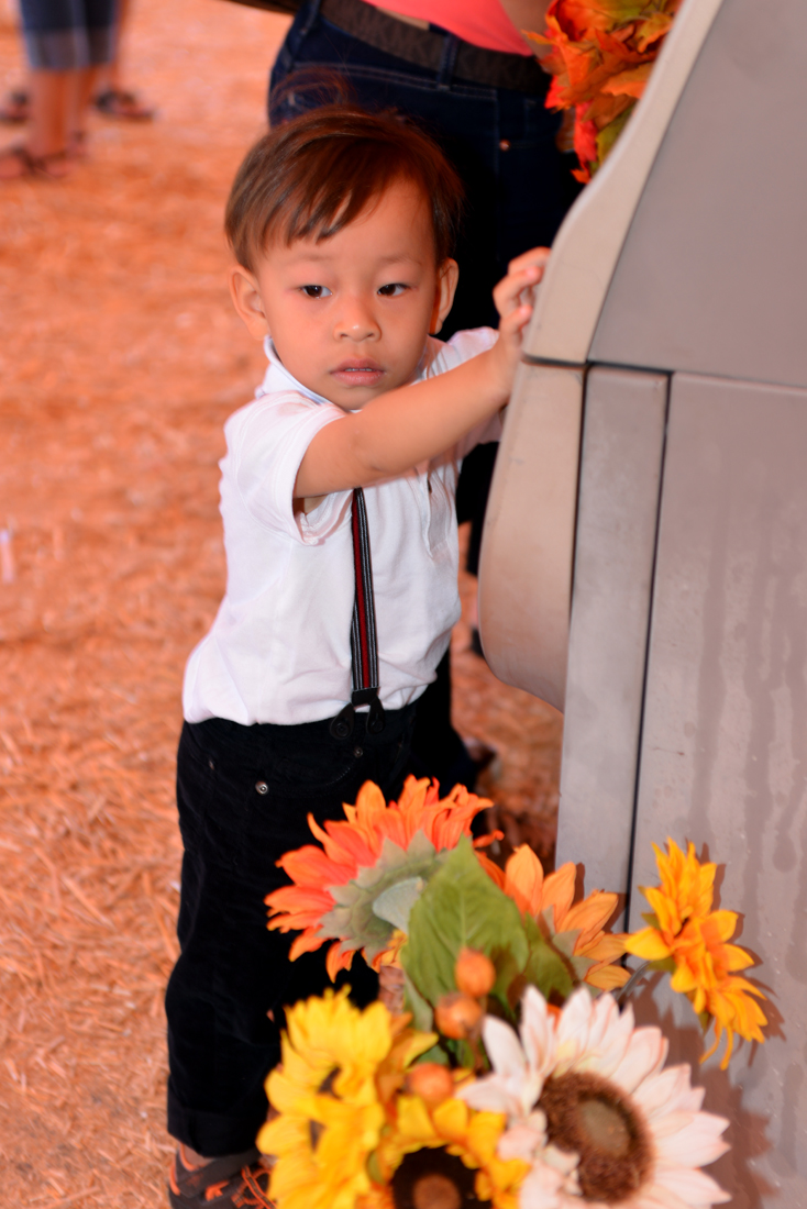 William Quy Bui - Almost 3 years old
Pumpkin Patch
@Westminster Mall
Keywords: Pumpkin;patch;westminster mall;william;fall;thanksgiving