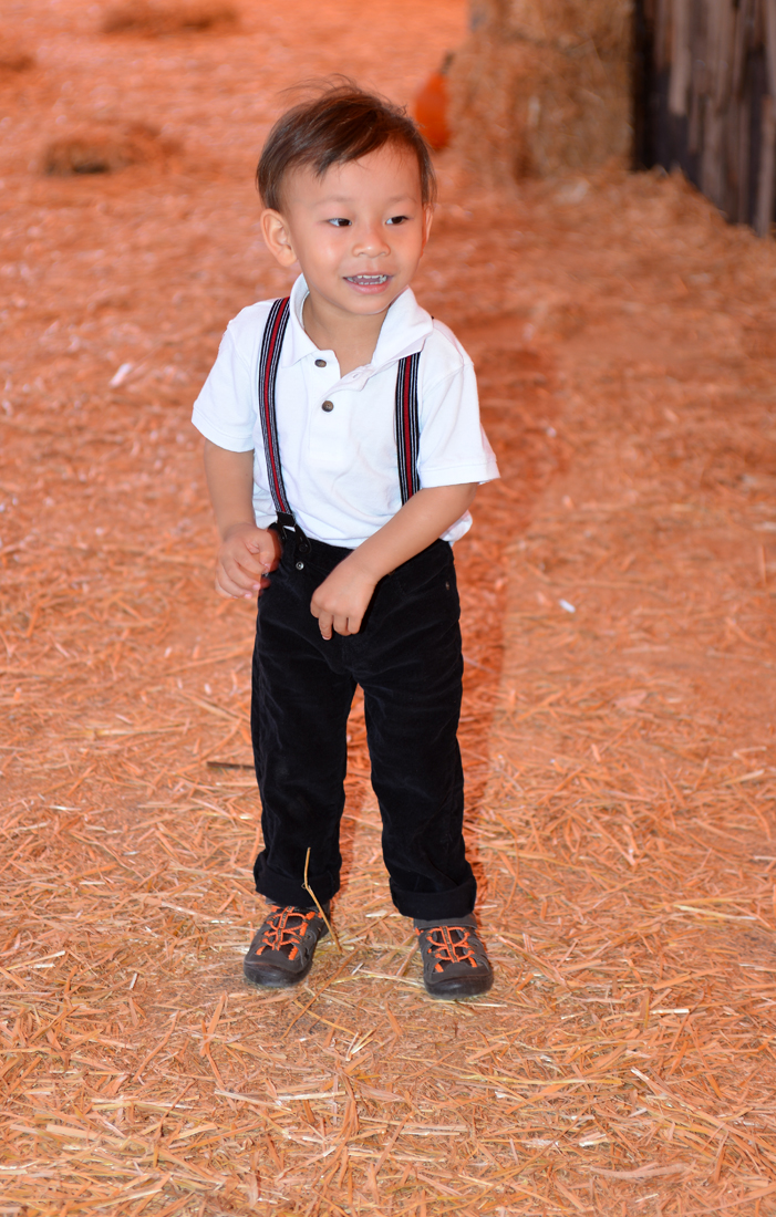 William Quy Bui - Almost 3 years old
Pumpkin Patch
@Westminster Mall
Keywords: Pumpkin;patch;westminster mall;william;fall;thanksgiving