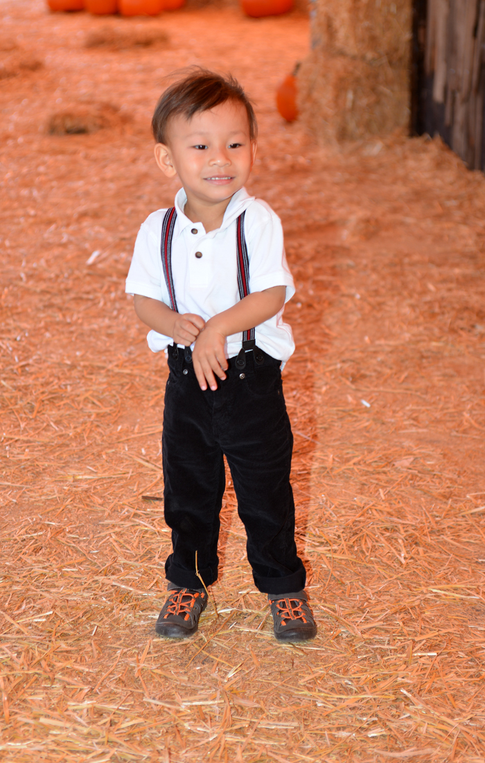 William Quy Bui - Almost 3 years old
Pumpkin Patch
@Westminster Mall
Keywords: Pumpkin;patch;westminster mall;william;fall;thanksgiving