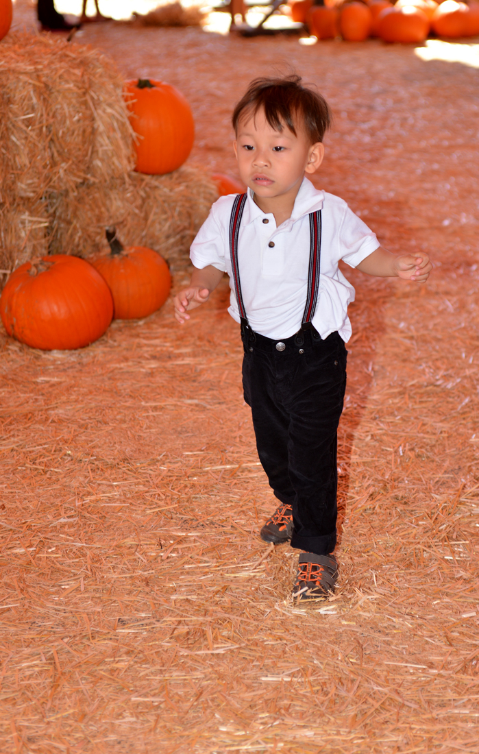 William Quy Bui - Almost 3 years old
Pumpkin Patch
@Westminster Mall
Keywords: Pumpkin;patch;westminster mall;william;fall;thanksgiving