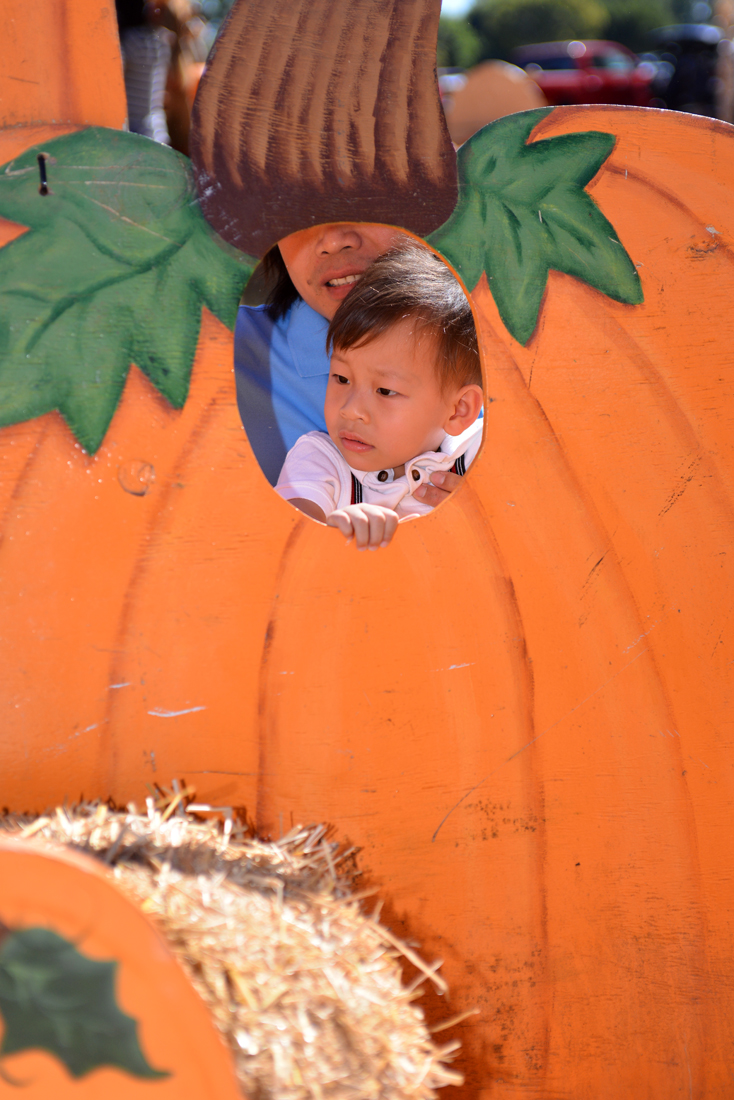 William Quy Bui - Almost 3 years old
Pumpkin Patch
@Westminster Mall
Keywords: Pumpkin;patch;westminster mall;william;fall;thanksgiving