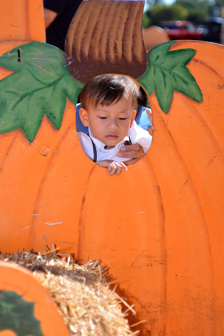 William Quy Bui - Almost 3 years old
Pumpkin Patch
@Westminster Mall
Keywords: Pumpkin;patch;westminster mall;william;fall;thanksgiving