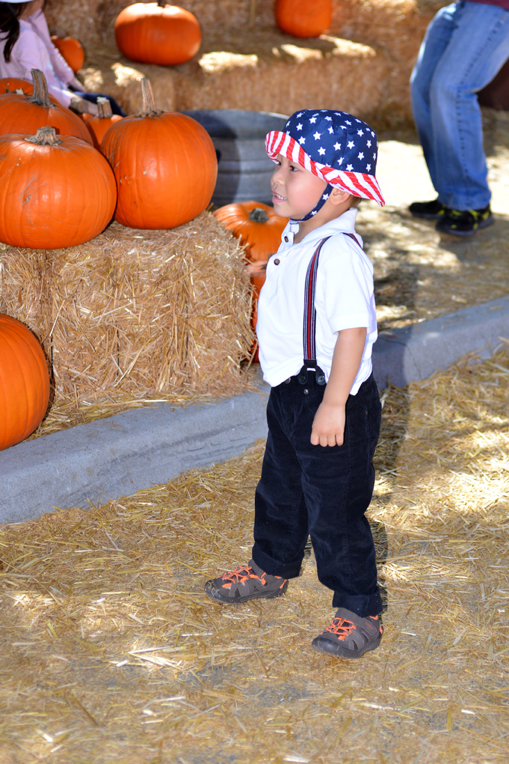 William Quy Bui - Almost 3 years old
Pumpkin Patch
@Westminster Mall
Keywords: Pumpkin;patch;westminster mall;william;fall;thanksgiving