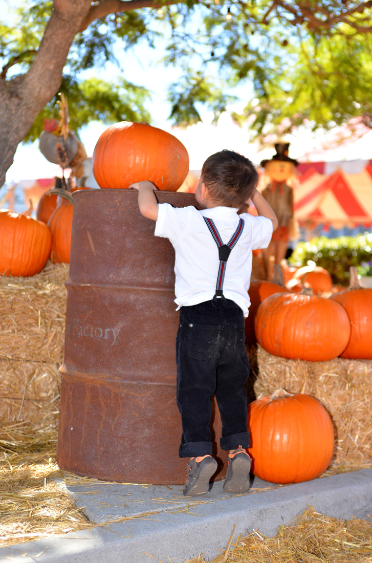 William Quy Bui - Almost 3 years old
Pumpkin Patch
@Westminster Mall
Keywords: Pumpkin;patch;westminster mall;william;fall;thanksgiving