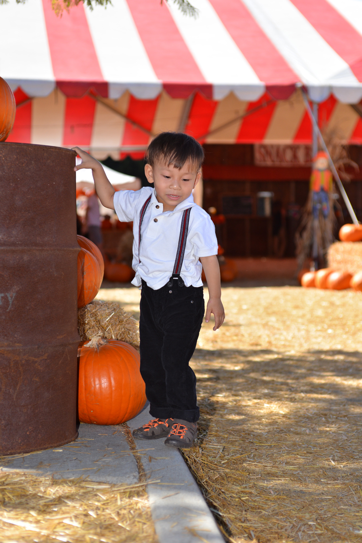 William Quy Bui - Almost 3 years old
Pumpkin Patch
@Westminster Mall
Keywords: Pumpkin;patch;westminster mall;william;fall;thanksgiving