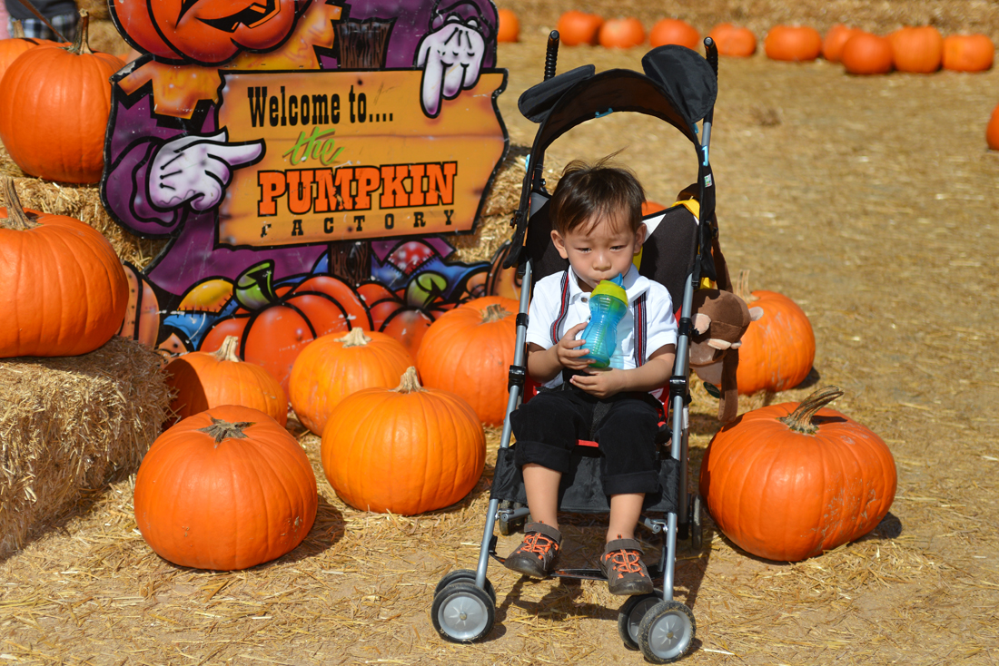 William Quy Bui - Almost 3 years old
Pumpkin Patch
@Westminster Mall
Keywords: Pumpkin;patch;westminster mall;william;fall;thanksgiving