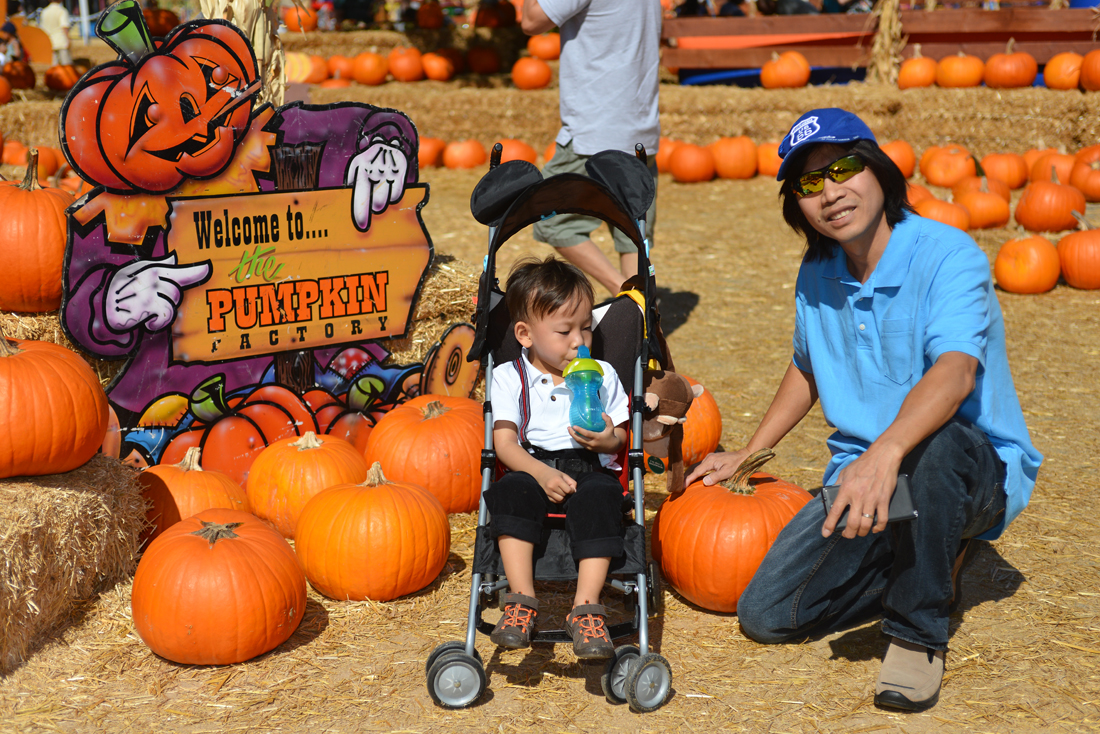 William Quy Bui - Almost 3 years old
Pumpkin Patch
@Westminster Mall
Keywords: Pumpkin;patch;westminster mall;william;fall;thanksgiving