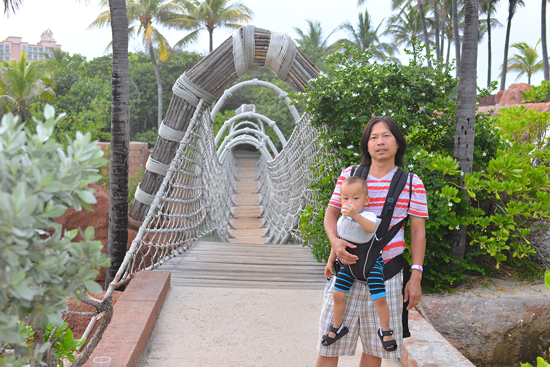 Rope bridge
