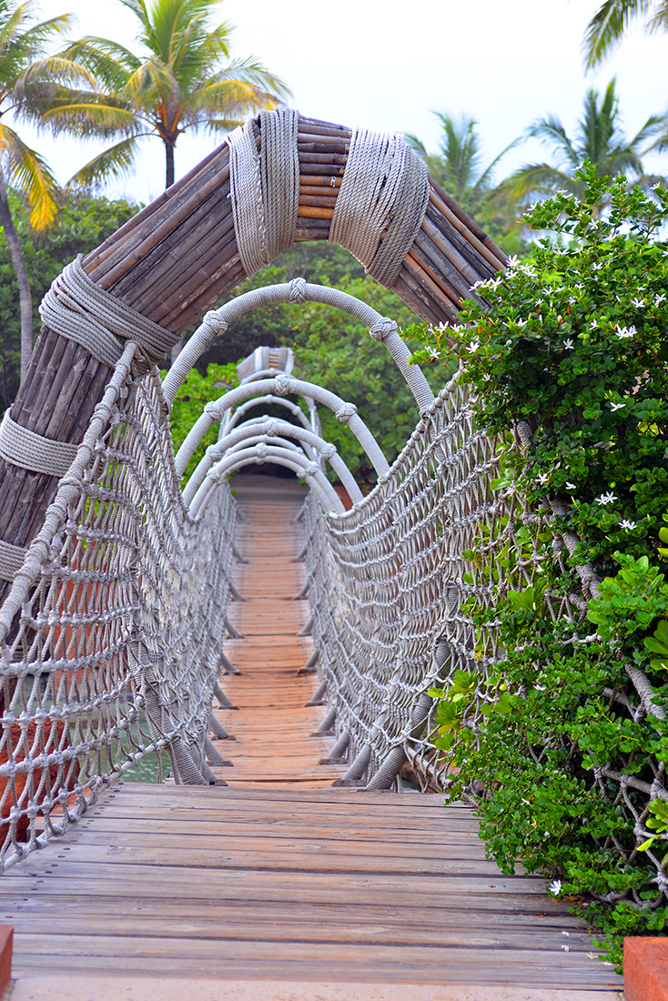 Rope bridge
