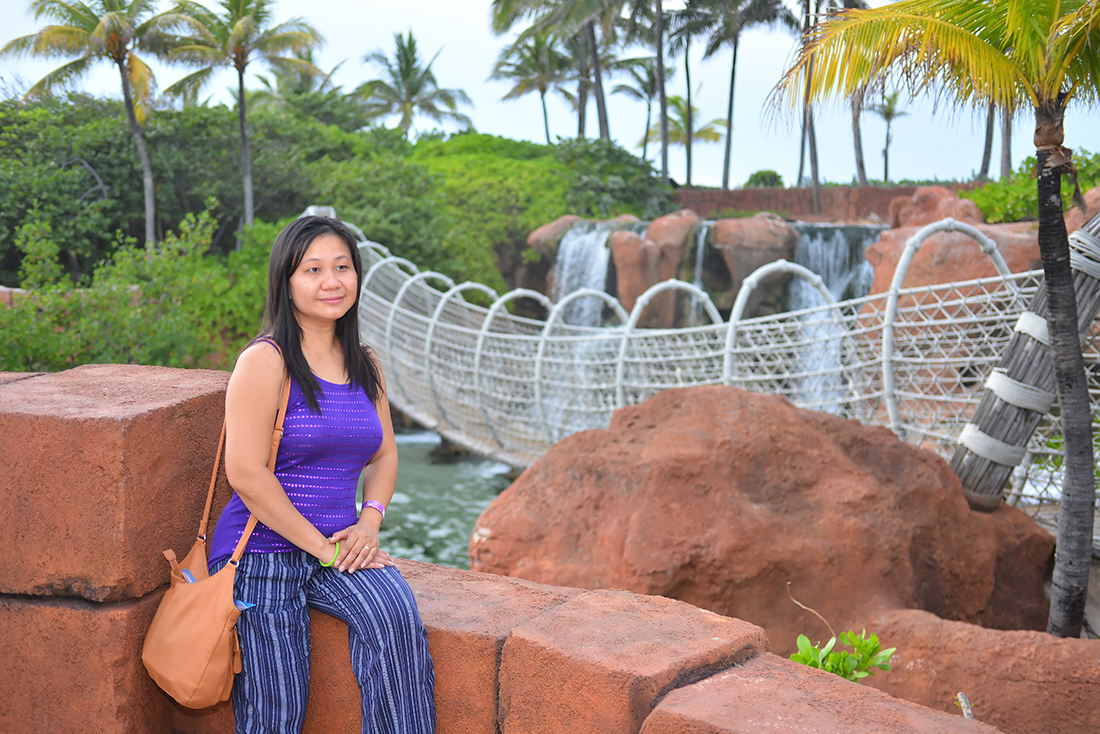 Rope bridge
