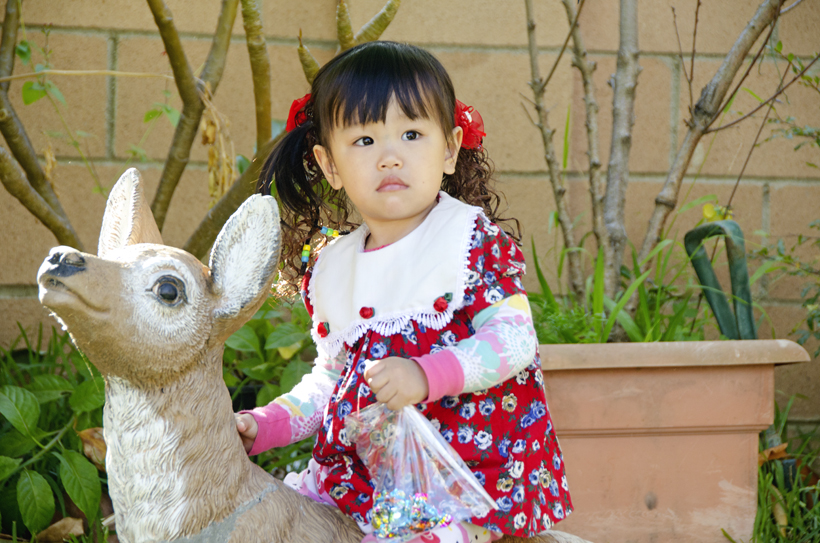 Victoria Tường Vy Nguyễn
2 years old
