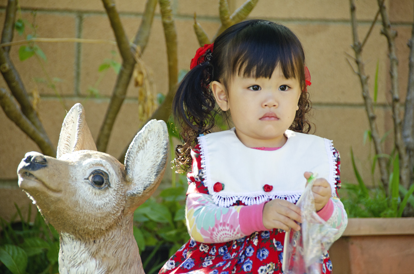 Victoria Tường Vy Nguyễn
2 years old
